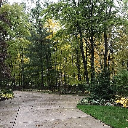 3rd image of 3517 Beagle Dr
