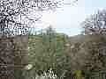 2nd image of 11395 Madrone Ct