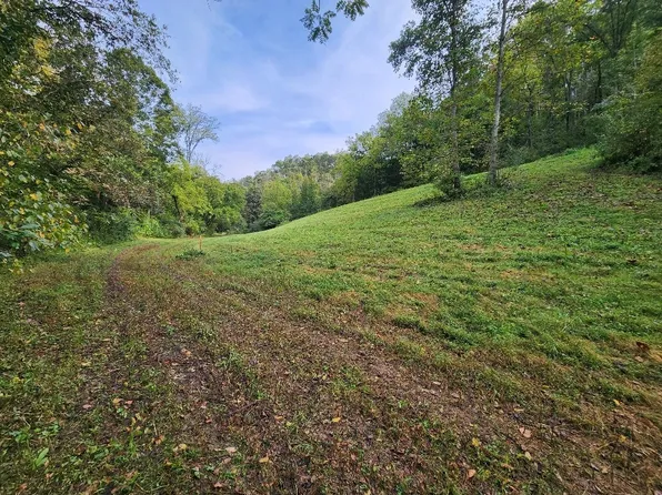 0 Webster Branch Ln Lot 7, Whitleyville, TN 38588