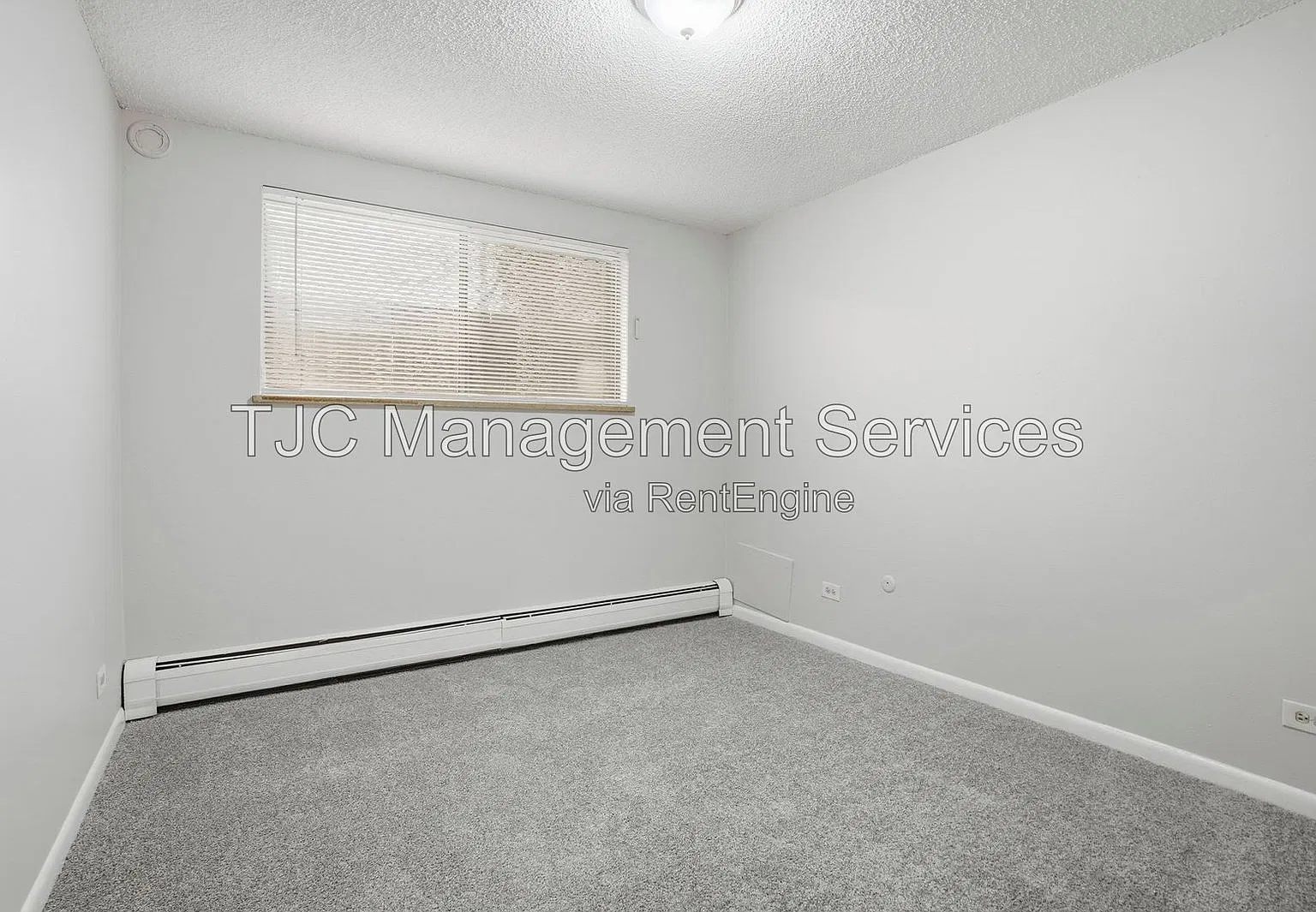 2 bed, 1.0 bath, 725 sqft, $1,185 — Photo 4