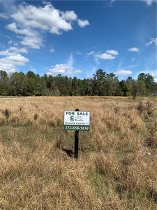 Mossy Oak Ct, BROOKSVILLE, FL, 34601