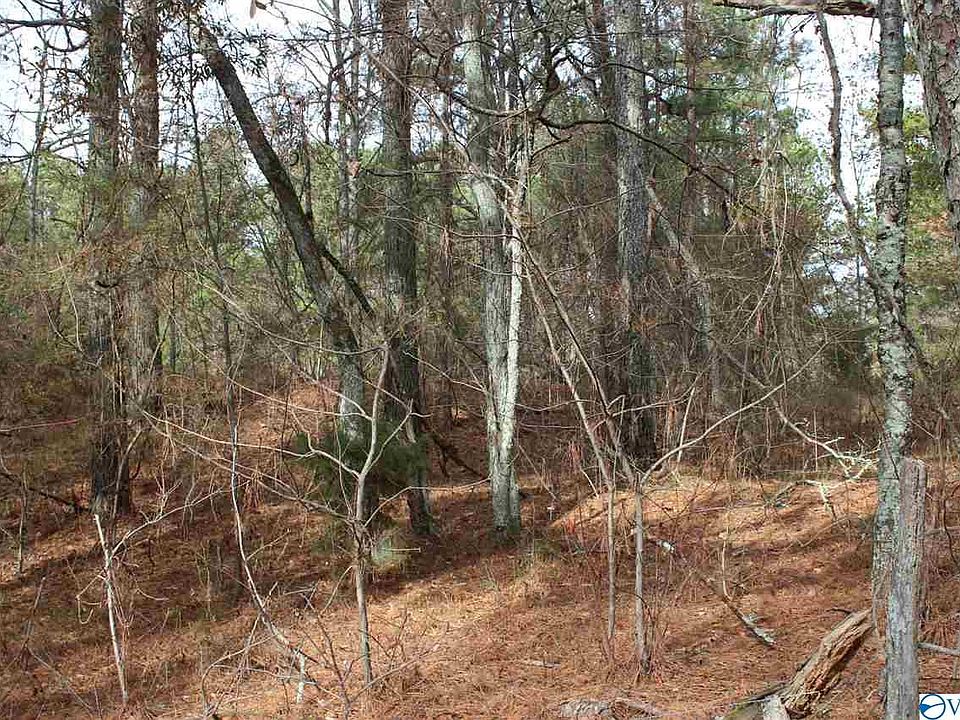 2nd image of 0 County Road 277