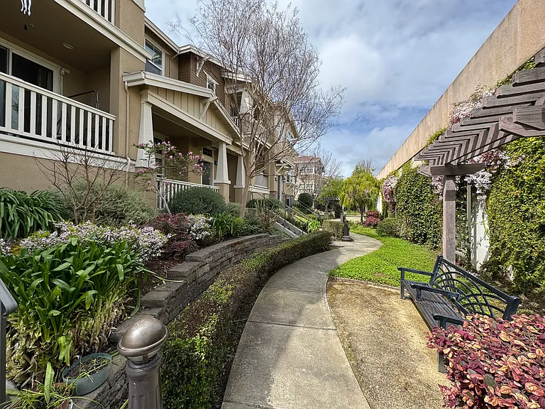 36008 Soapberry Cmn — Photo 2
