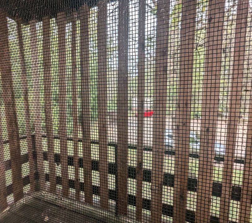 1st image of 2900 Lawnridge Ct APT D