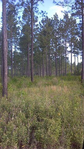2nd image of 3008 Lake Pleasant Ch Rd