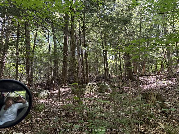 5th image of 0 Canaan Rd