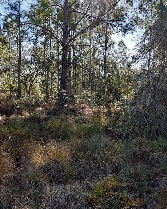 2nd image of 9756 Soaring Pines Ct