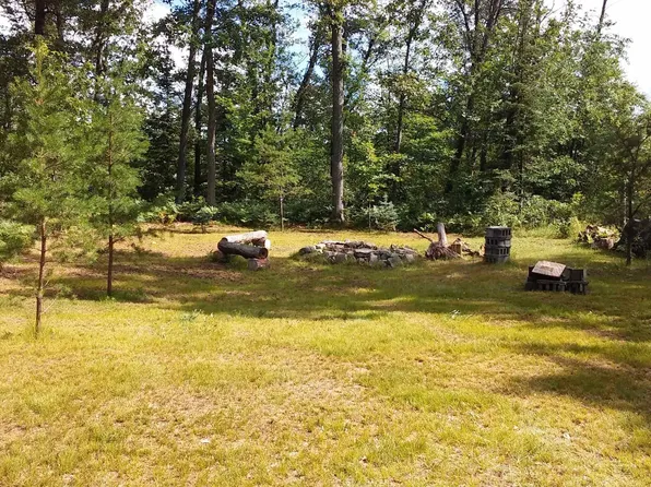 100 Murray Schmidt Dr, West Branch, MI 48661