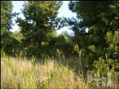 2nd image of 301 Iverleigh Ln