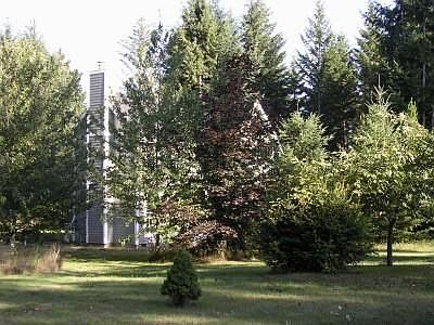 4th image of 217 195th Ave SW