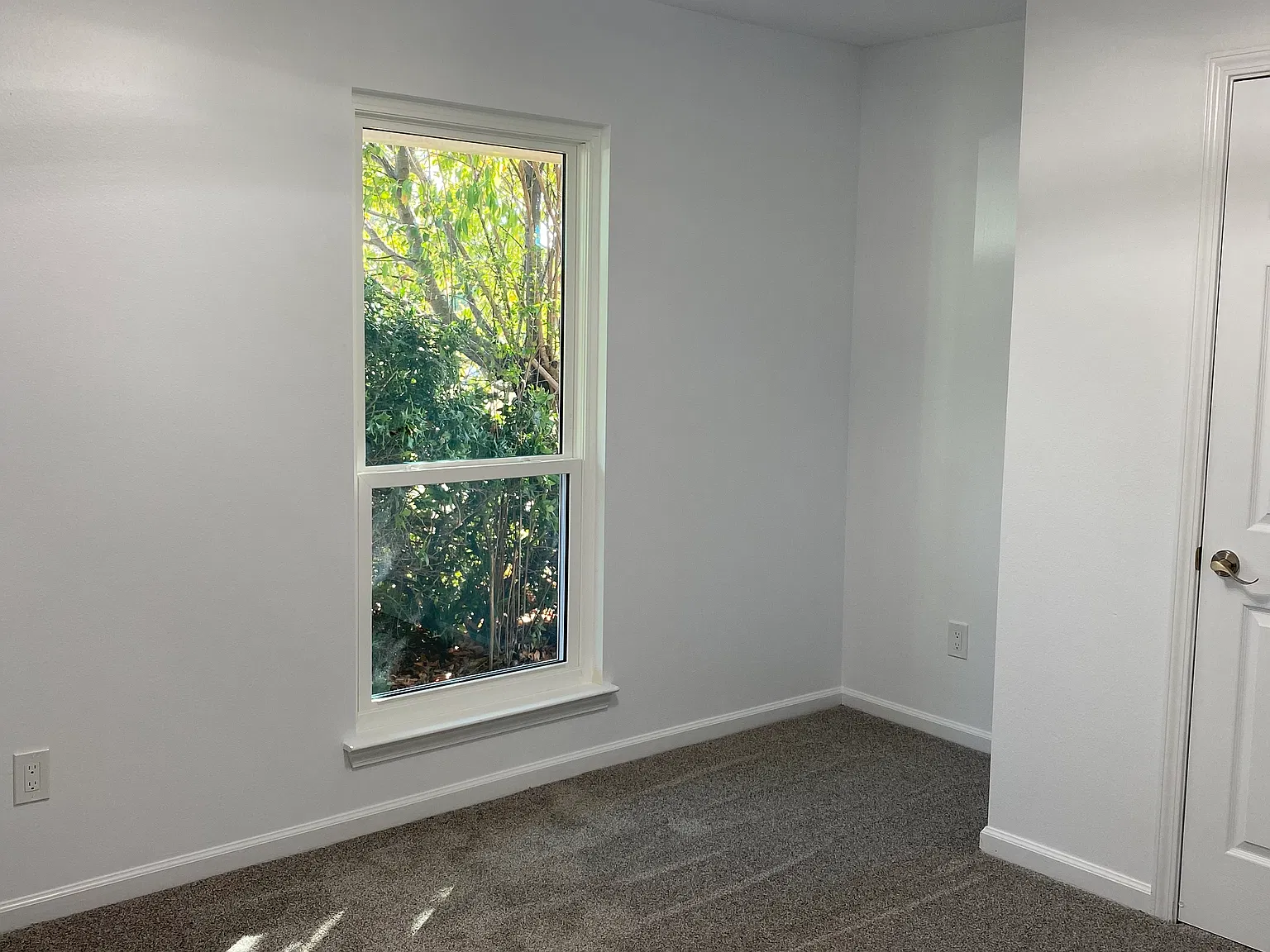 3 bed, 1300 sqft, $1,650 — Photo 3