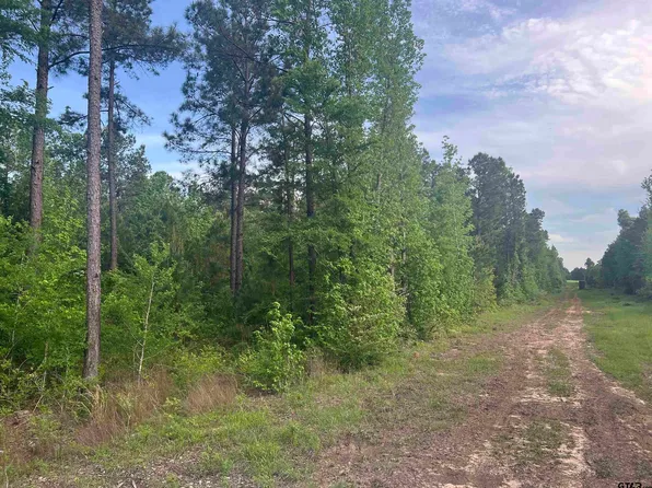 TRACT 1 County Road 477 W, Henderson, TX 75654