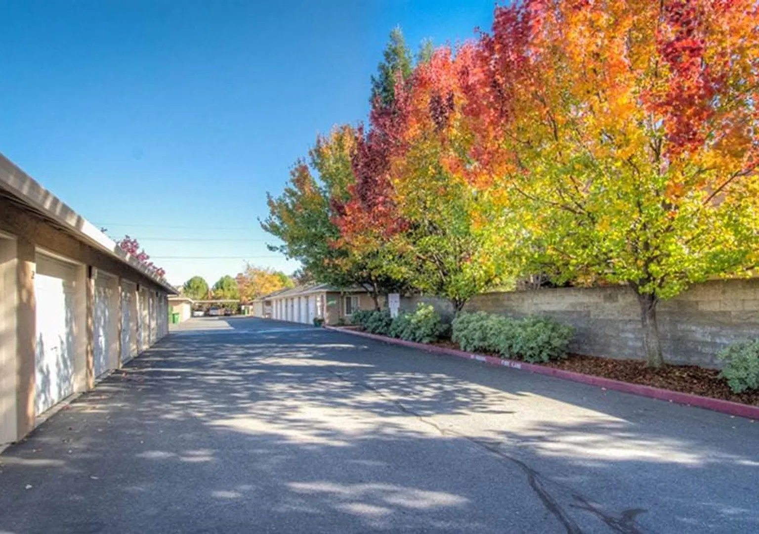 1 & 2 Bedroom Apartments for Rent in Chico CA | In-Unit Laundry, Pool & Private Patio — Photo 3