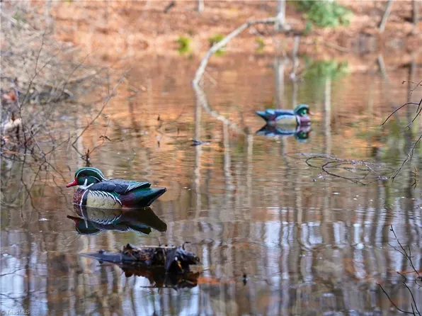 1180 Dick And Willie Rd, Critz, VA 24082