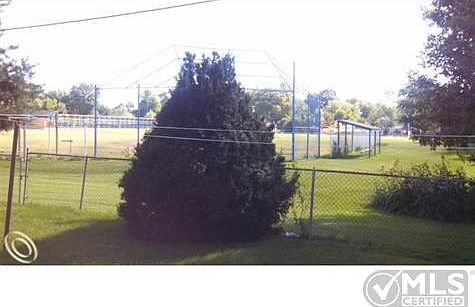 Backs to school yard.jpg