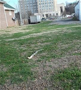 2nd image of 509 Ann St