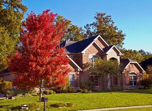 2nd image of 8415 Braeswood Estates Dr