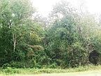2nd image of 1608 N Houston Lake Rd