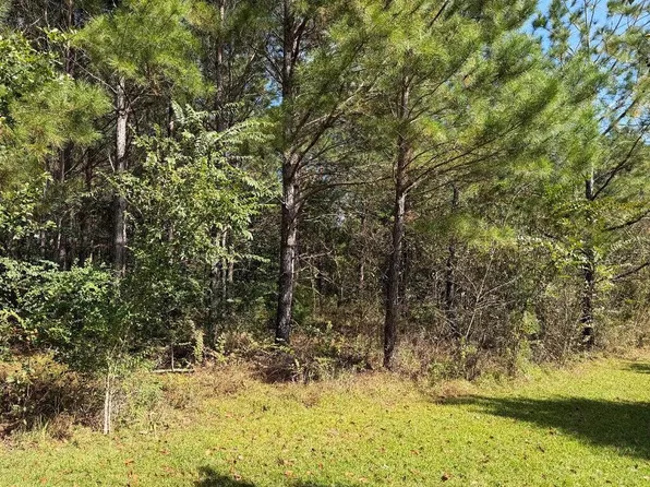267 Providence Rd, Whigham, GA 39897