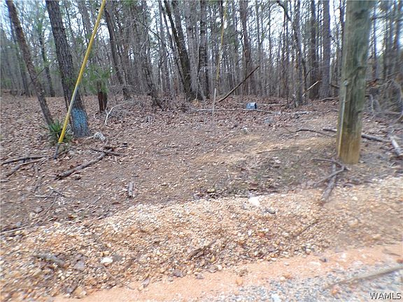 2nd image of 13495 Gilbert Tommie Rd