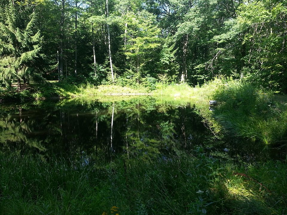 2nd image of 1386 Scott Rd