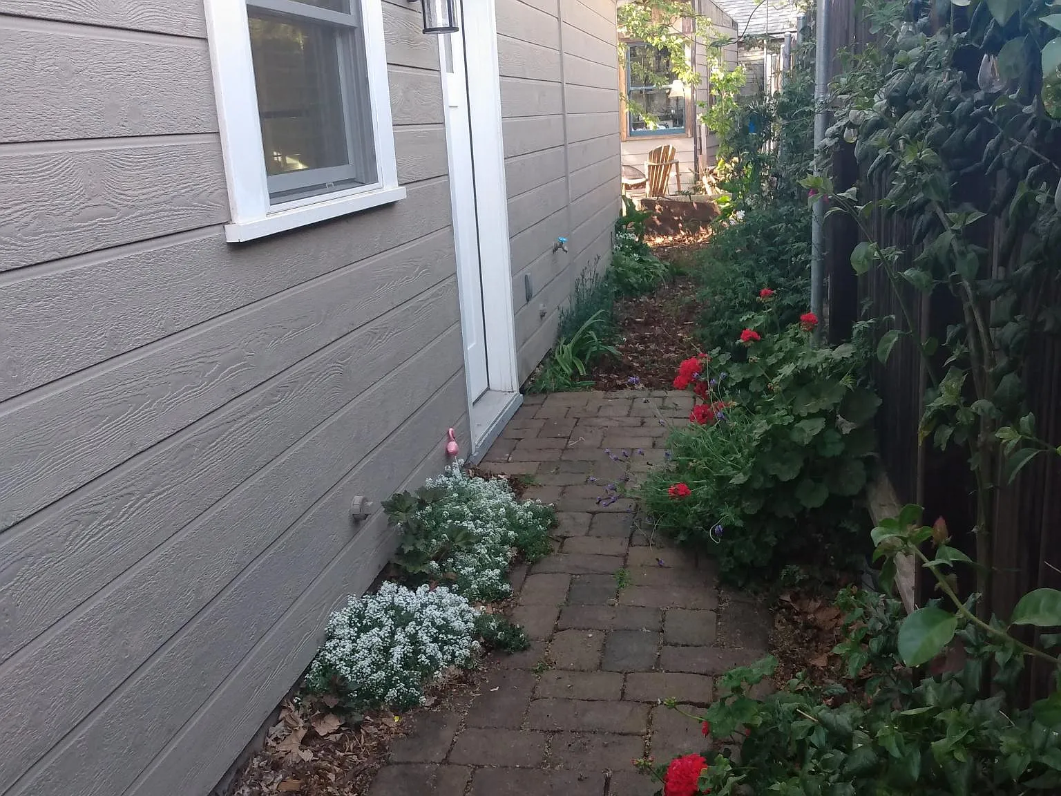 1 bed, 500 sqft, $1,650 — Photo 3