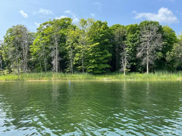725 Big Lasalle Is, Cedarville, MI 49719