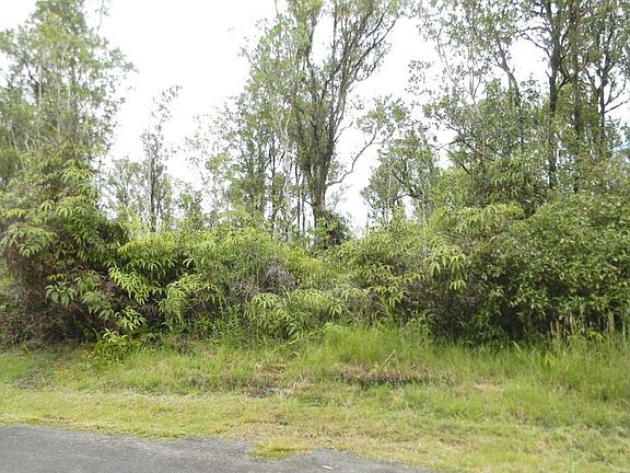 5th image of Hibiscus St Lot 7424