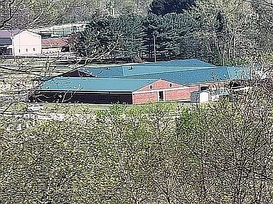 5th image of 221 Lincoln Ln