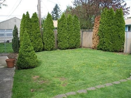 Completely fenced back yard
