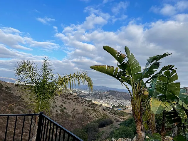 view off deck