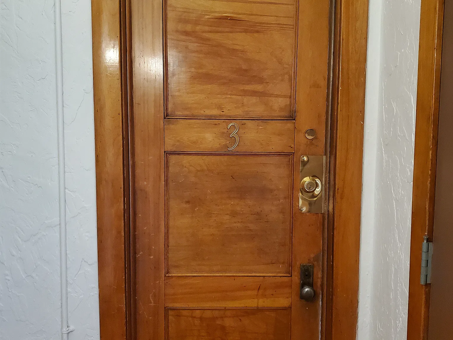 Studio, 300 sqft, $900 — Photo 3