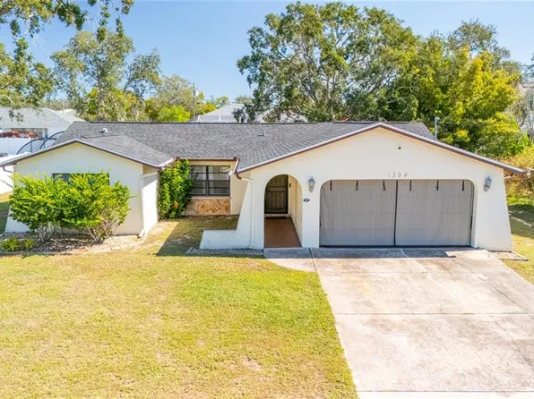 1394 Escobar Ave, Spring Hill, FL 34608