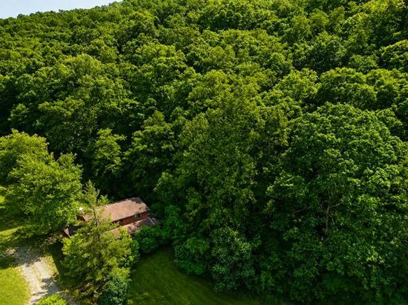 100 James Collins Dr, Fort Gay, WV 25514