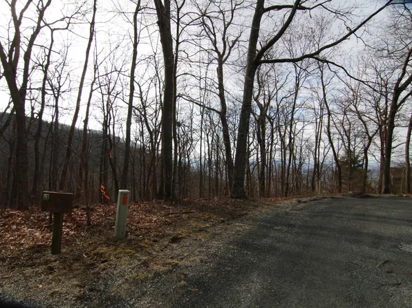 89 Gumtree Rd, Roseland, VA 22967