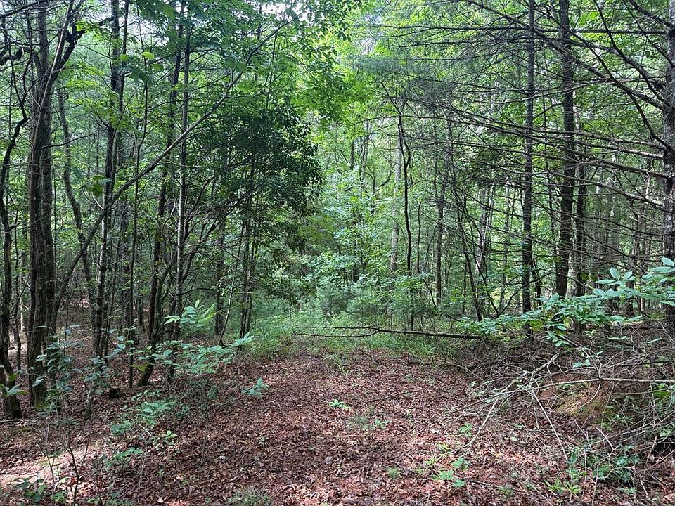 1st image of 0 Younce Creek Rd