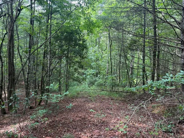0 Younce Creek Rd, Franklin, NC 28734