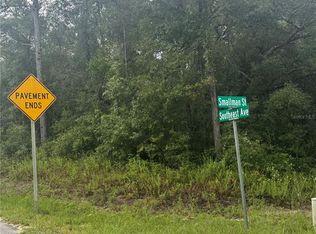 Southeast Ave LOT 9, Webster, FL 33597