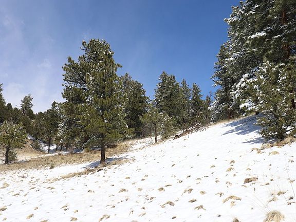 5th image of 1166 Matterhorn Cir N