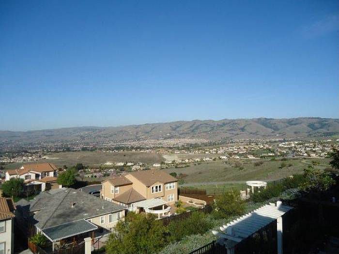 Back yard view