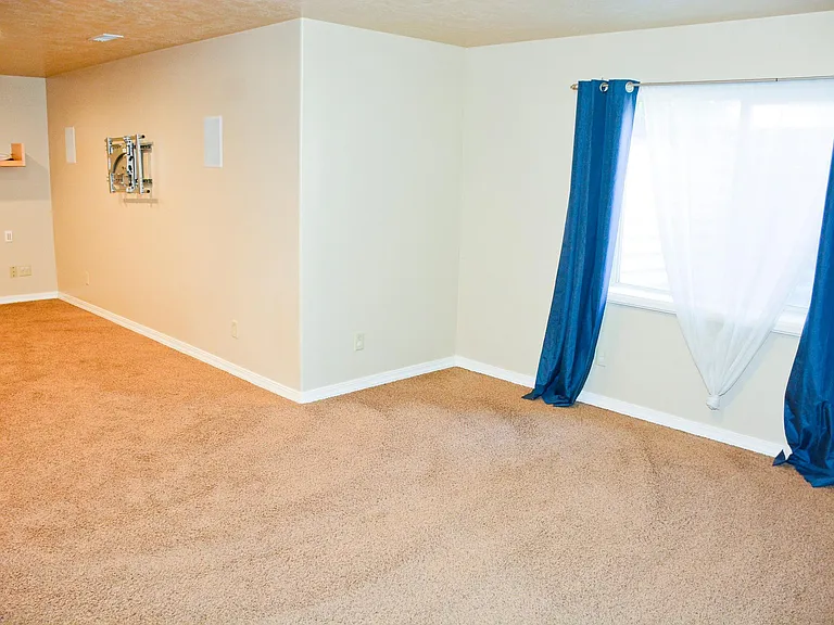 Basement Great Room