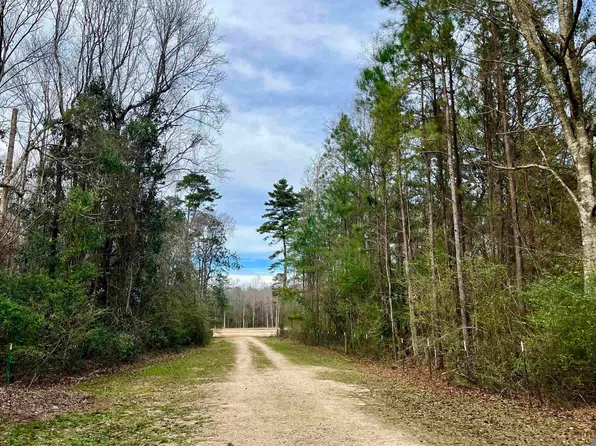 21 Lillian Ln, Ethel, LA 70730