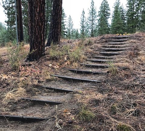 steps to deck