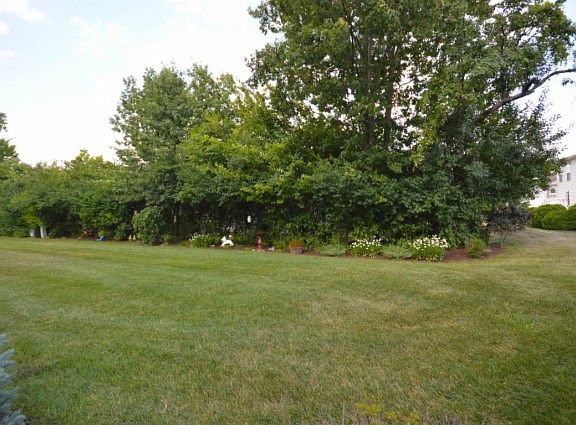 3rd image of 5132 Vinington Pl