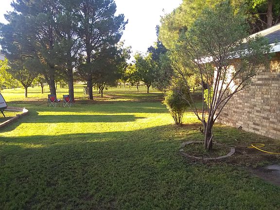 View from front yard to pecan trees
