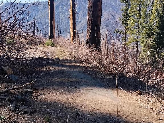 3rd image of 55058 Redwood Drive
