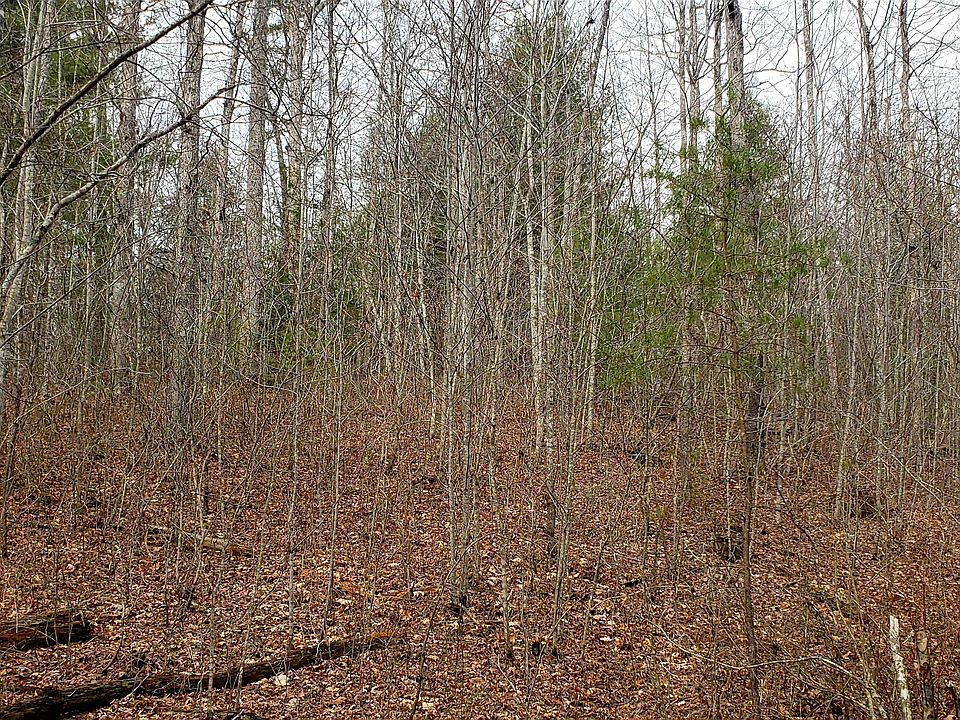 2nd image of Lot 1005 Spruce Creek Dr Lot 1005