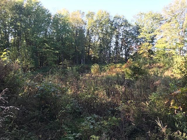 2nd image of 2462 E Bristol Lake Rd