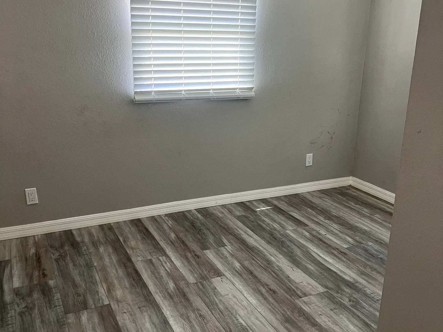Coleus Ave, Zephyrhills — Photo 4