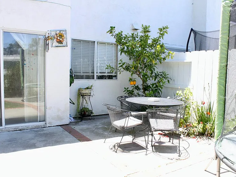Backyard table with an orange tree in the background